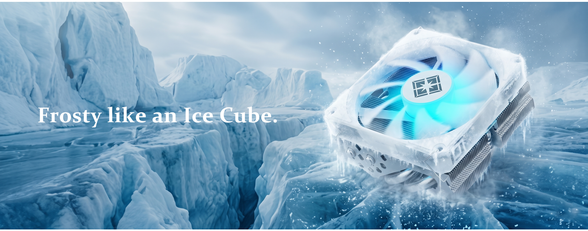 web-banner.png